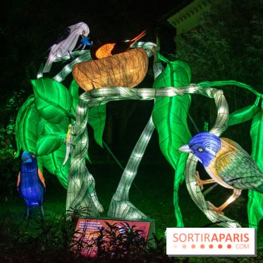 Jungle en voie d'illumination Jardin des Plantes