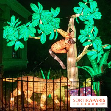Jungle en voie d'illumination Jardin des Plantes