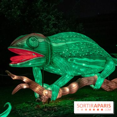 Jungle en voie d'illumination Jardin des Plantes