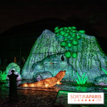 Jungle en voie d'illumination Jardin des Plantes