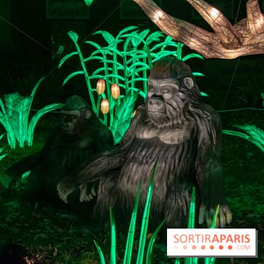 Jungle en voie d'illumination Jardin des Plantes