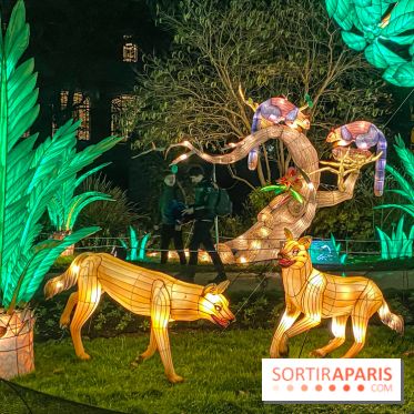 Jungle en voie d'illumination Jardin des Plantes