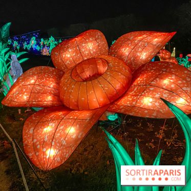 Jungle en voie d'illumination Jardin des Plantes
