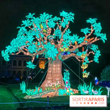 Jungle en voie d'illumination Jardin des Plantes