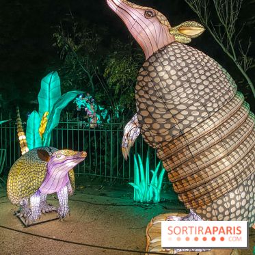 Jungle en voie d'illumination Jardin des Plantes