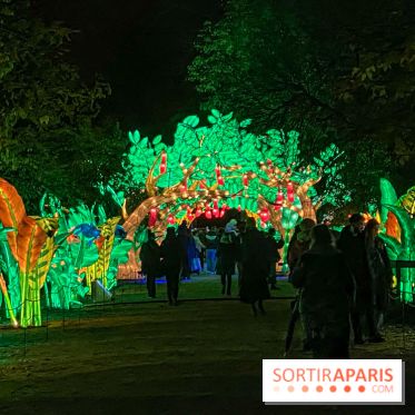 Jungle en voie d'illumination Jardin des Plantes