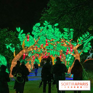Jungle en voie d'illumination Jardin des Plantes