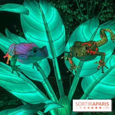 Jungle en voie d'illumination Jardin des Plantes
