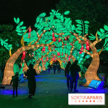 Jungle en voie d'illumination Jardin des Plantes