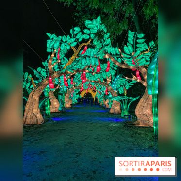 Jungle en voie d'illumination Jardin des Plantes