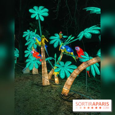 Jungle en voie d'illumination Jardin des Plantes