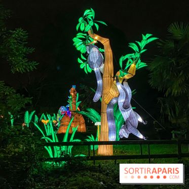 Jungle en voie d'illumination Jardin des Plantes