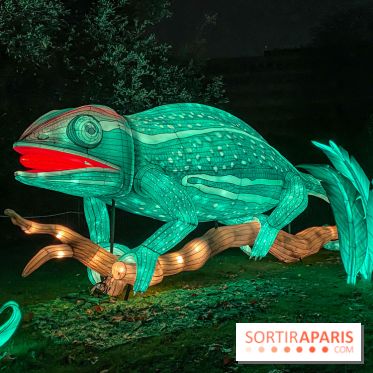 Jungle en voie d'illumination Jardin des Plantes