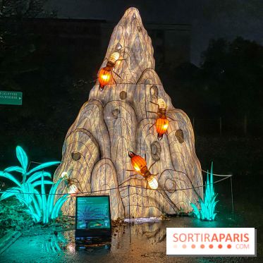 Jungle en voie d'illumination Jardin des Plantes
