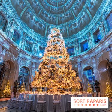 Le Grand Noël au Château de Vaux le Vicomte 2023 - photo -  A7C8278