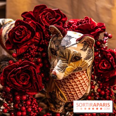 Le Grand Noël au Château de Vaux le Vicomte 2023 - photo -  A7C8308