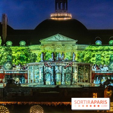 Le Grand Noël au Château de Vaux le Vicomte 2023 - photo -  A7C8398
