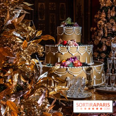 Le Grand Noël au Château de Vaux le Vicomte 2023 - photo -  A7C8249