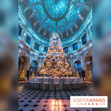 Le Grand Noël au Château de Vaux le Vicomte 2023 - photo -  A7C8284