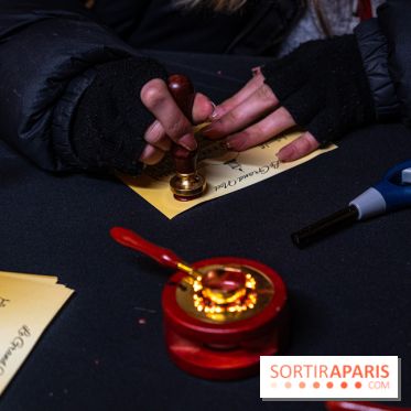 Le Grand Noël au Château de Vaux le Vicomte 2023 - photo -  A7C8372