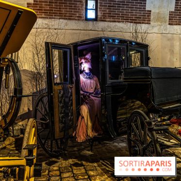 Le Grand Noël au Château de Vaux le Vicomte 2023 - photo -  A7C8348