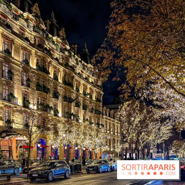 Les illuminations de Noël 2023 de l'Avenue Montaigne - cérémonie et décors féériques - image00032