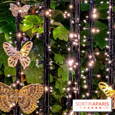 Les illuminations de Noël 2023 de l'Avenue Montaigne - cérémonie et décors féériques - image00070