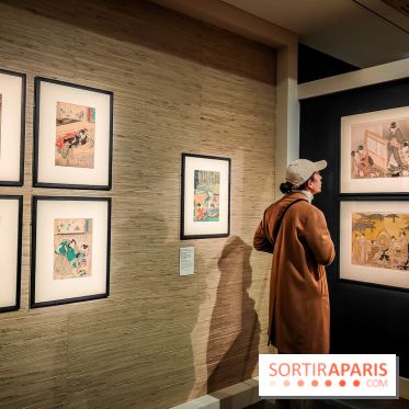 Exposition A la cour du Prince Genji : l'imaginaire japonaise se dévoile au musée Guimet  - IMG20231121101944