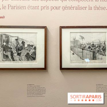 Exposition