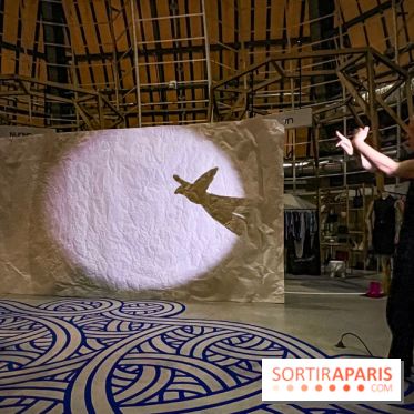 Spectacle d'ombres au Printemps Haussmann