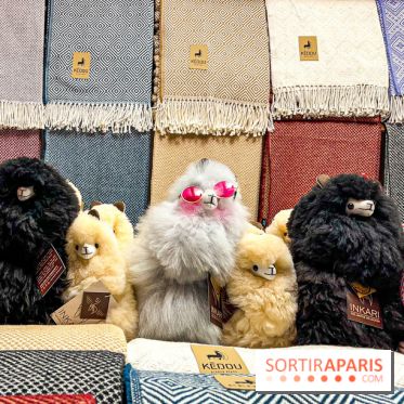 Le Marché de Noël de Boulogne Billancourt (92) - image00039