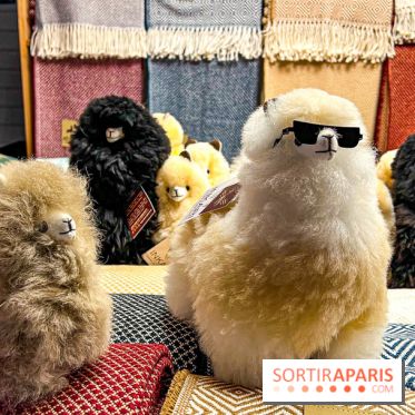 Le Marché de Noël de Boulogne Billancourt (92) - image00040