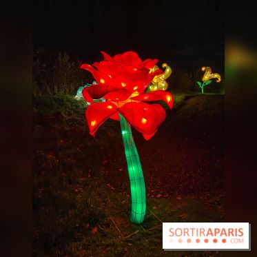 Odyssée Lumineuse, le festival des lumières au Parc Floral - IMG 2362