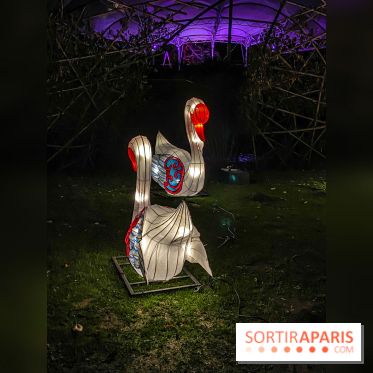 Odyssée Lumineuse, le festival des lumières au Parc Floral - IMG 2366