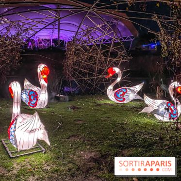 Odyssée Lumineuse, le festival des lumières au Parc Floral - IMG 2367