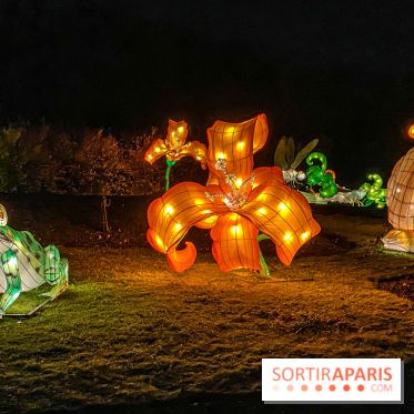Odyssée Lumineuse, le festival des lumières au Parc Floral - IMG 2368