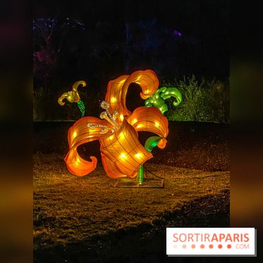 Odyssée Lumineuse, le festival des lumières au Parc Floral