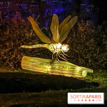 Odyssée Lumineuse, le festival des lumières au Parc Floral