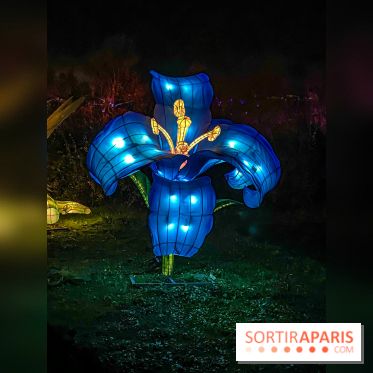 Odyssée Lumineuse, le festival des lumières au Parc Floral - IMG 2372