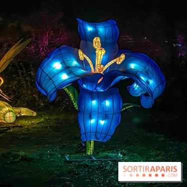 Odyssée Lumineuse, le festival des lumières au Parc Floral