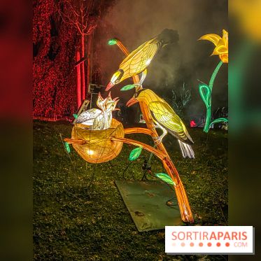Odyssée Lumineuse, le festival des lumières au Parc Floral