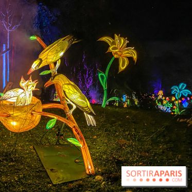 Odyssée Lumineuse, le festival des lumières au Parc Floral - IMG 2376