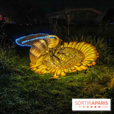 Odyssée Lumineuse, le festival des lumières au Parc Floral