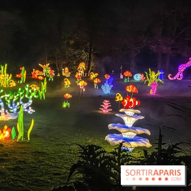 Odyssée Lumineuse, le festival des lumières au Parc Floral - IMG 2379