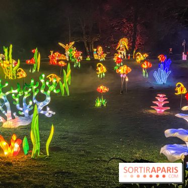 Odyssée Lumineuse, le festival des lumières au Parc Floral - IMG 2380