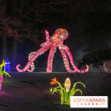 Odyssée Lumineuse, le festival des lumières au Parc Floral - IMG 2381