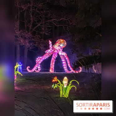 Odyssée Lumineuse, le festival des lumières au Parc Floral