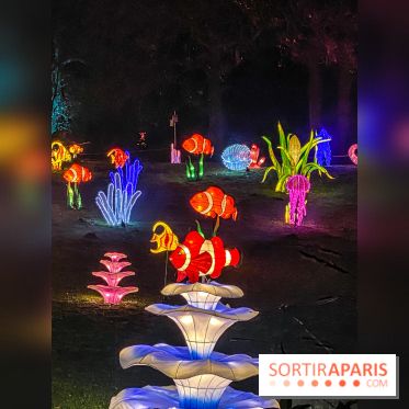 Odyssée Lumineuse, le festival des lumières au Parc Floral - IMG 2383