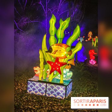 Odyssée Lumineuse, le festival des lumières au Parc Floral - IMG 2385