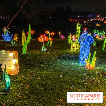 Odyssée Lumineuse, le festival des lumières au Parc Floral - IMG 2388